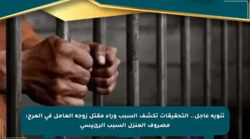 تنويه عاجل.. التحقيقات تكشف السبب وراء مقتل زوجة العامل في المرج: مصروف المنزل السبب الرئيسي